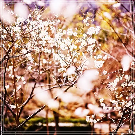 화담숲-예약-주차장-이용