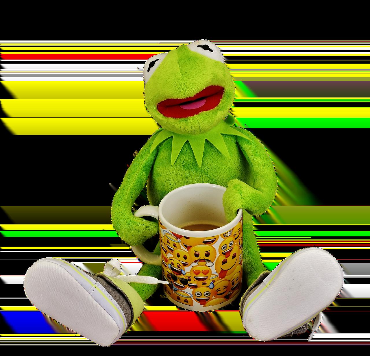 2024년 요양보호사 보수교육 신청하는 방법과 필수 정보