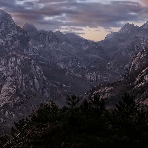 기초생활수급자와 차상위계층, 자동차 소유의 모든 것
