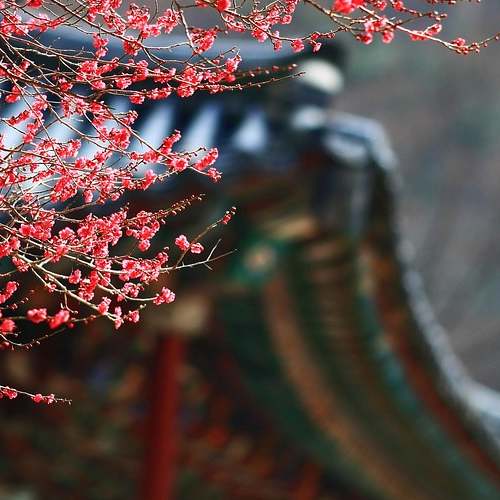 자동차보험 승계로 보험료 아끼기: 차 변경 시 꼭 알아야 할 사항들