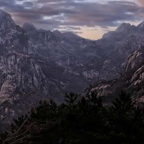 저렴한 악사 다이렉트 자동차 보험, 꼭 알아야 할 혜택과 조건