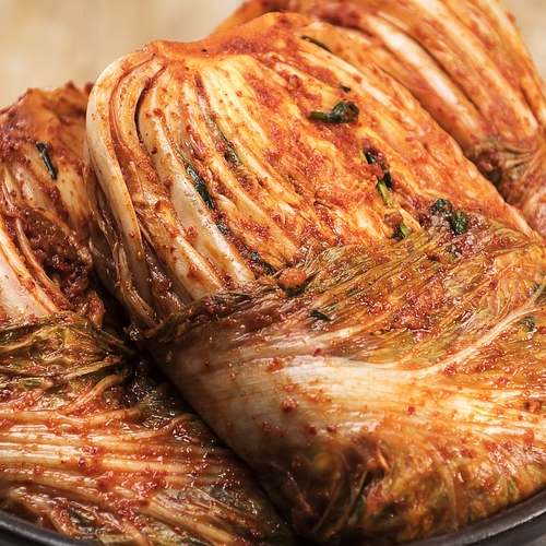 선거 개표 알바, 당신도 할 수 있는 공정한 나라 만들기!