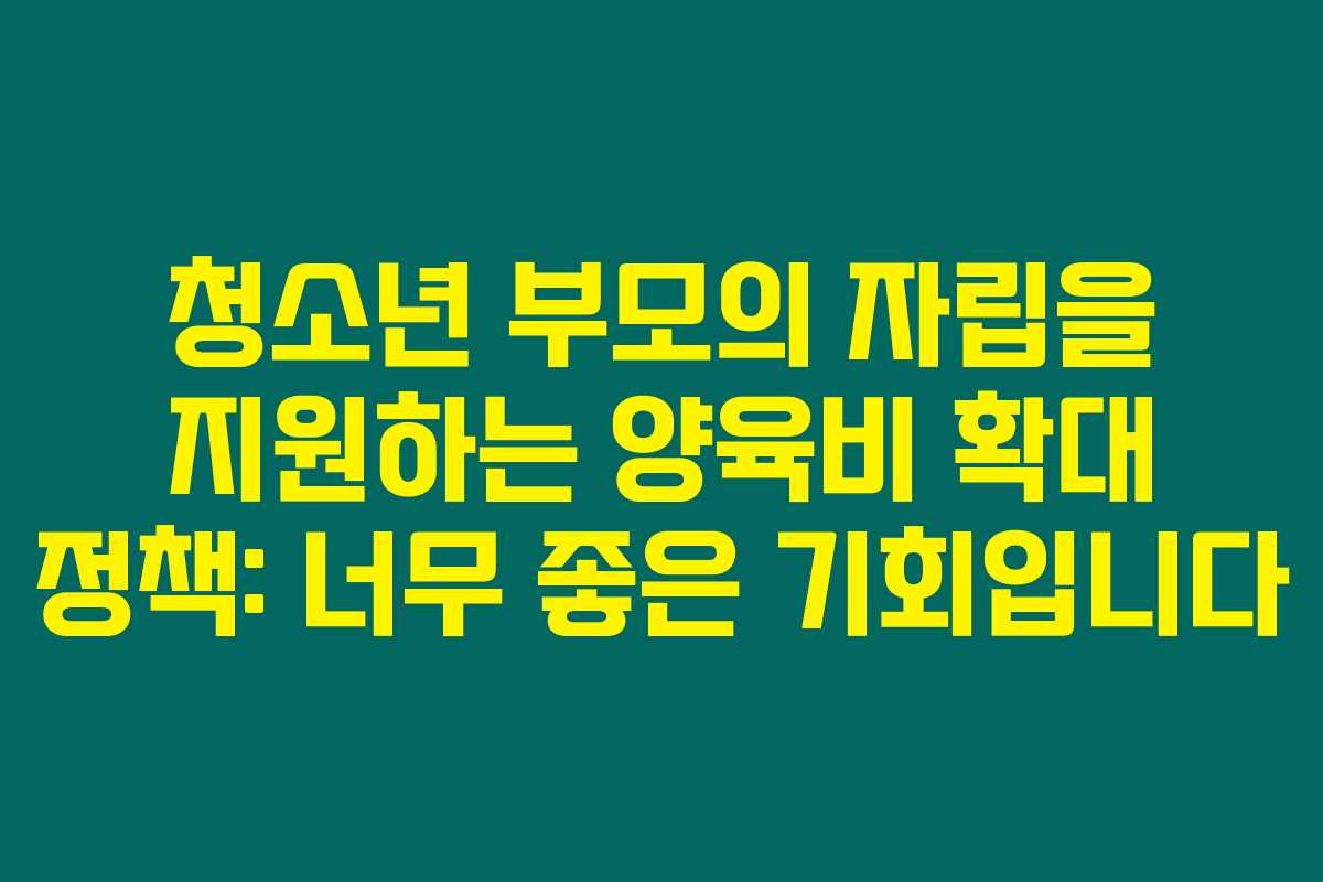 청소년 부모의 자립을 지원하는 양육비 확대 정책: 너무 좋은 기회입니다
