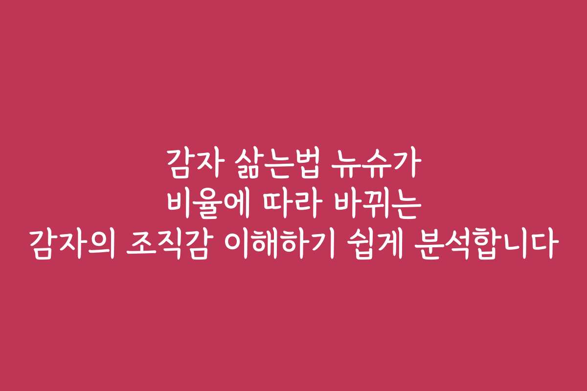 감자 삶는법 뉴슈가 비율에 따라 바뀌는 감자의 조직감 이해하기 쉽게 분석합니다