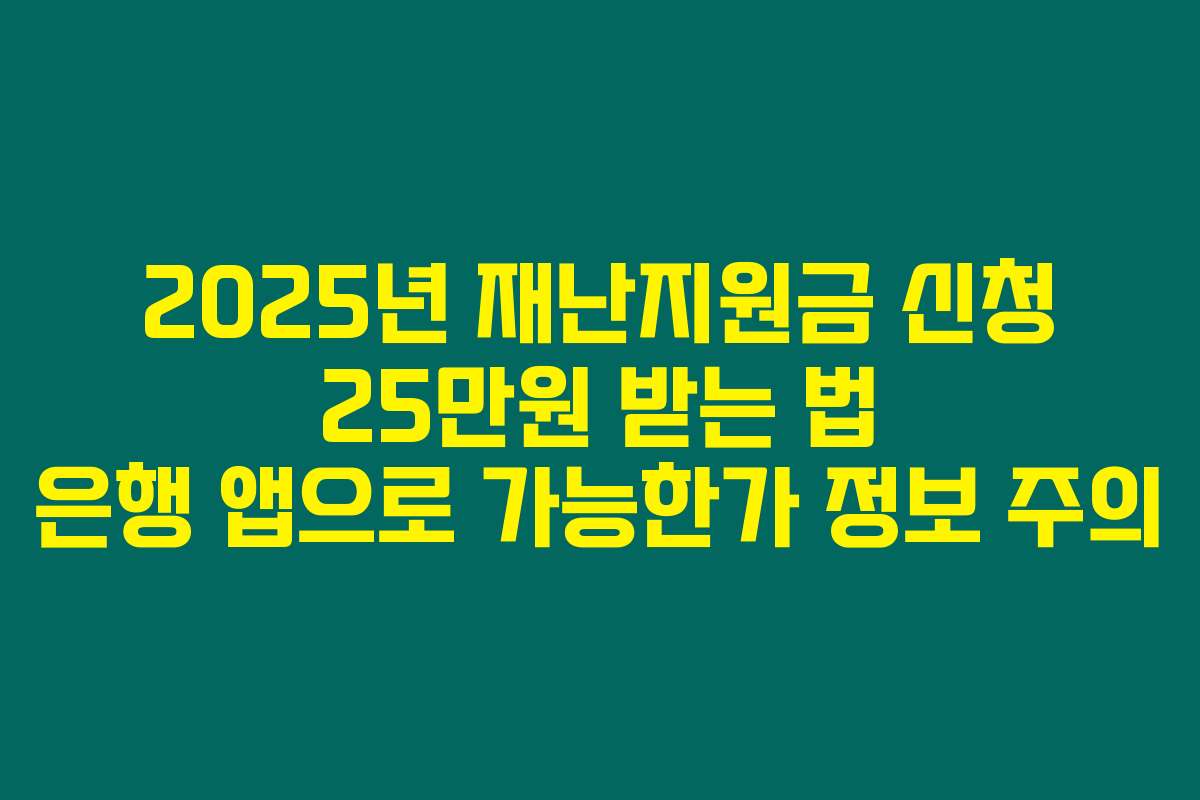 2025년 재난지원금 신청 25만원 받는 법 은행 앱으로 가능한가 정보 주의