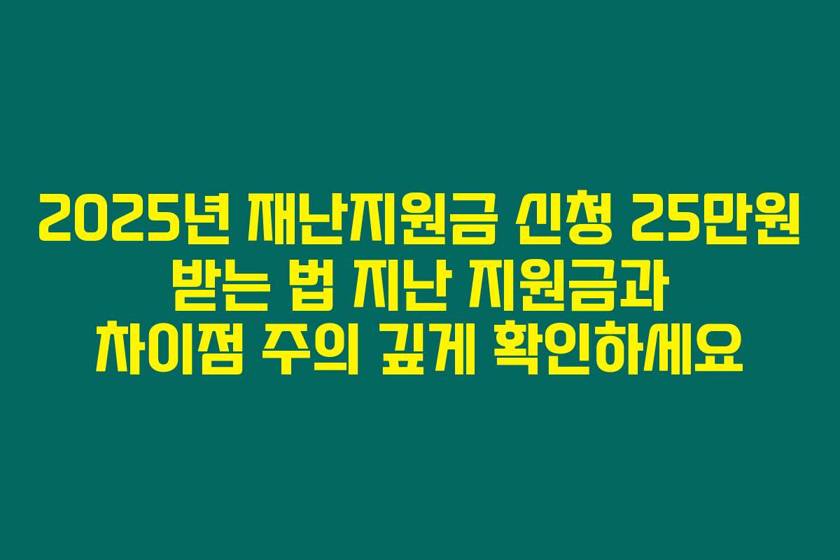 2025년 재난지원금 신청 25만원 받는 법 지난 지원금과 차이점 주의 깊게 확인하세요