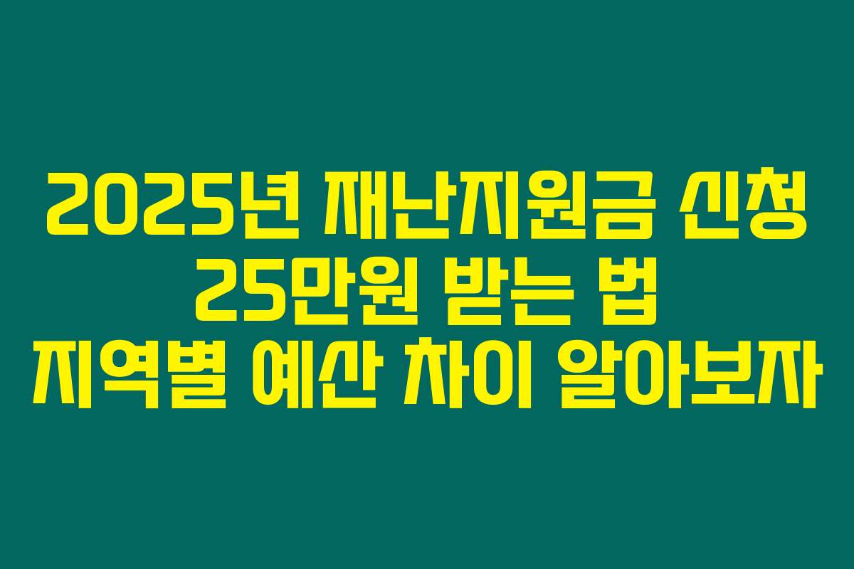 2025년 재난지원금 신청 25만원 받는 법 지역별 예산 차이 알아보자