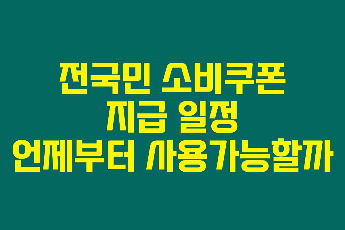 전국민 소비쿠폰 지급 일정 언제부터 사용가능할까