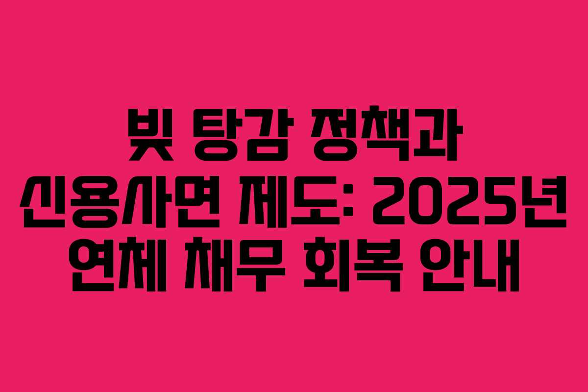 빚 탕감 정책과 신용사면 제도: 2025년 연체 채무 회복 안내