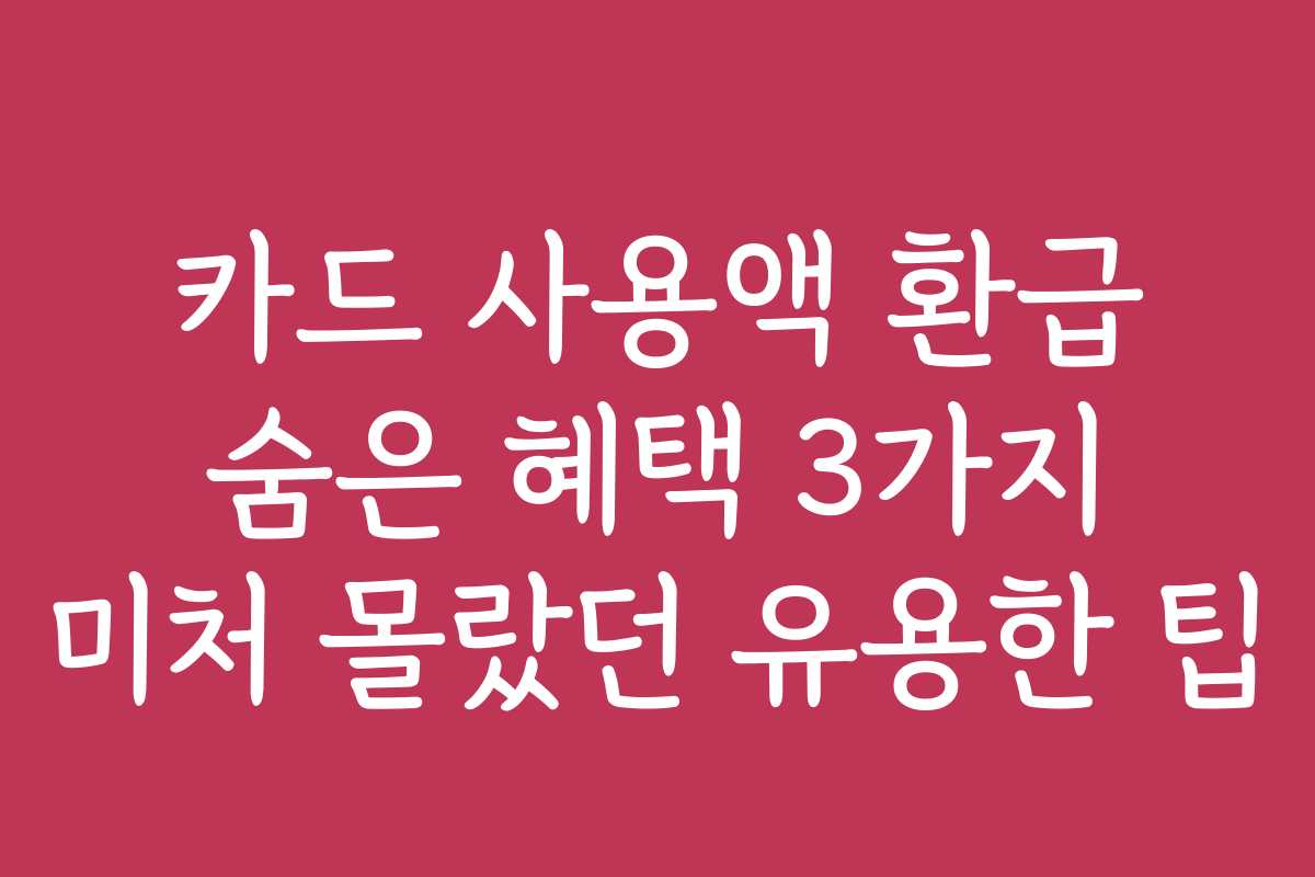 카드 사용액 환급 숨은 혜택 3가지 미처 몰랐던 유용한 팁