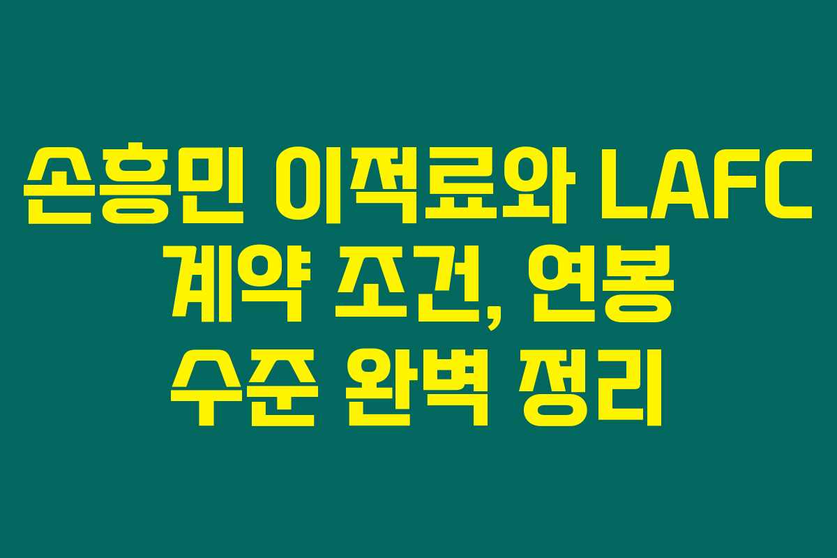 손흥민 이적료와 LAFC 계약 조건, 연봉 수준 완벽 정리