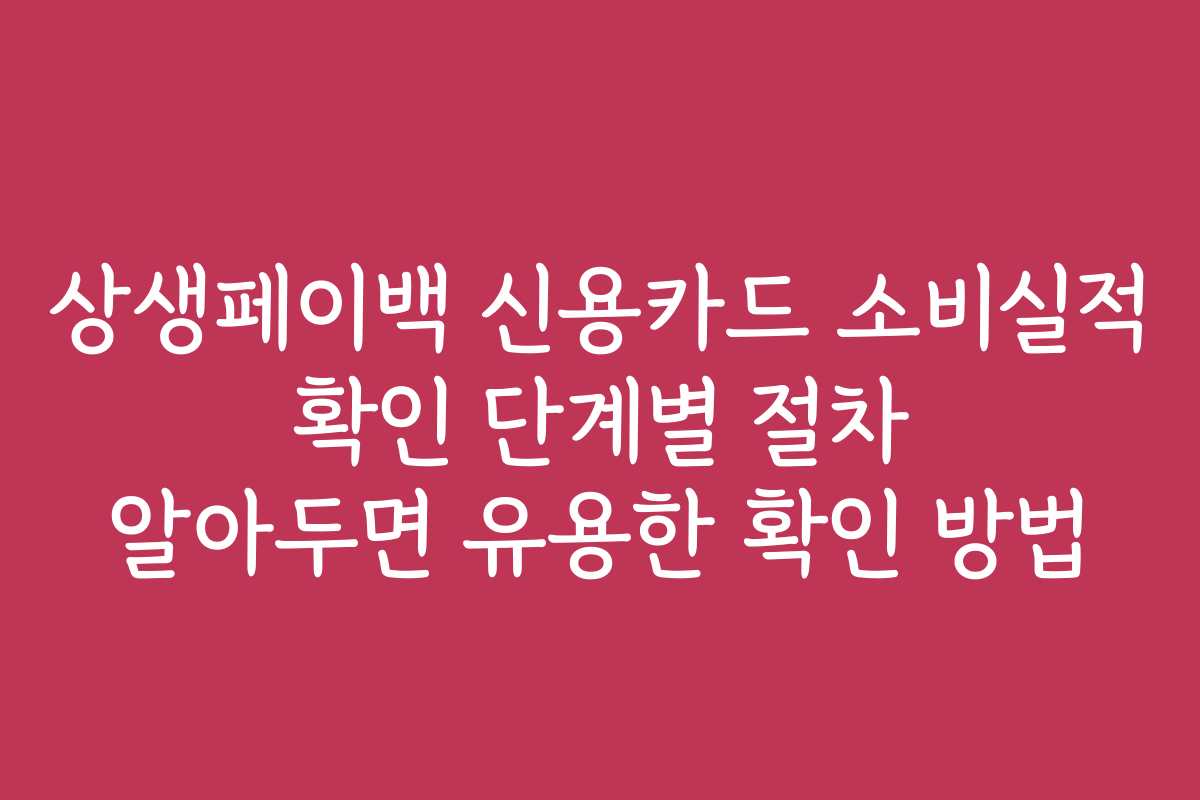 상생페이백 신용카드 소비실적 확인 단계별 절차 알아두면 유용한 확인 방법