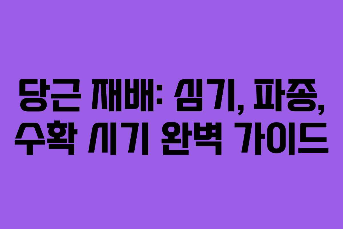 당근 재배: 심기, 파종, 수확 시기 완벽 가이드