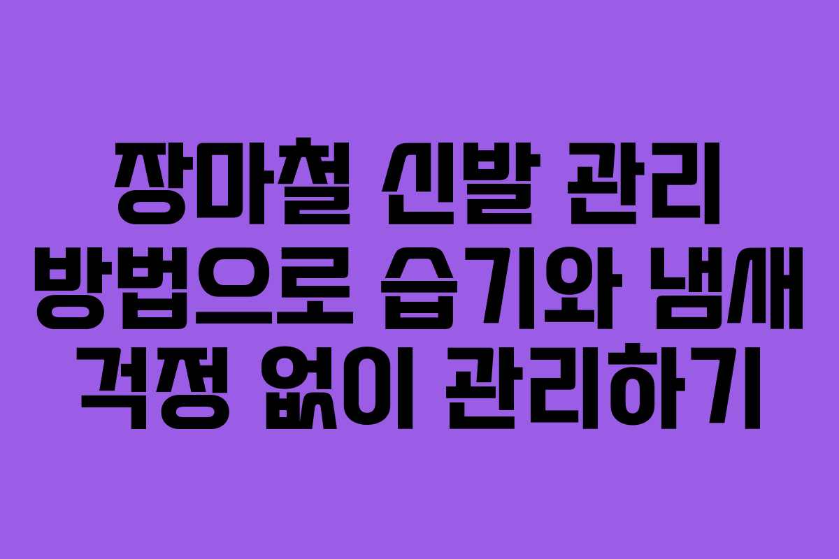 장마철 신발 관리 방법으로 습기와 냄새 걱정 없이 관리하기