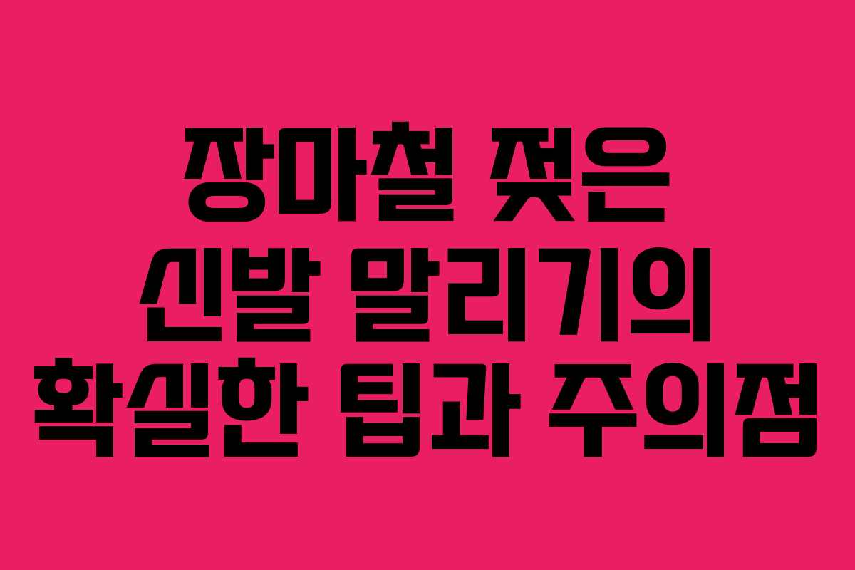 장마철 젖은 신발 말리기의 확실한 팁과 주의점