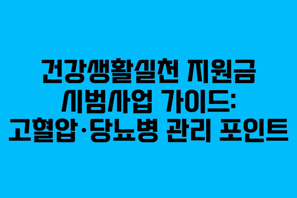 건강생활실천 지원금 시범사업 가이드: 고혈압·당뇨병 관리 포인트