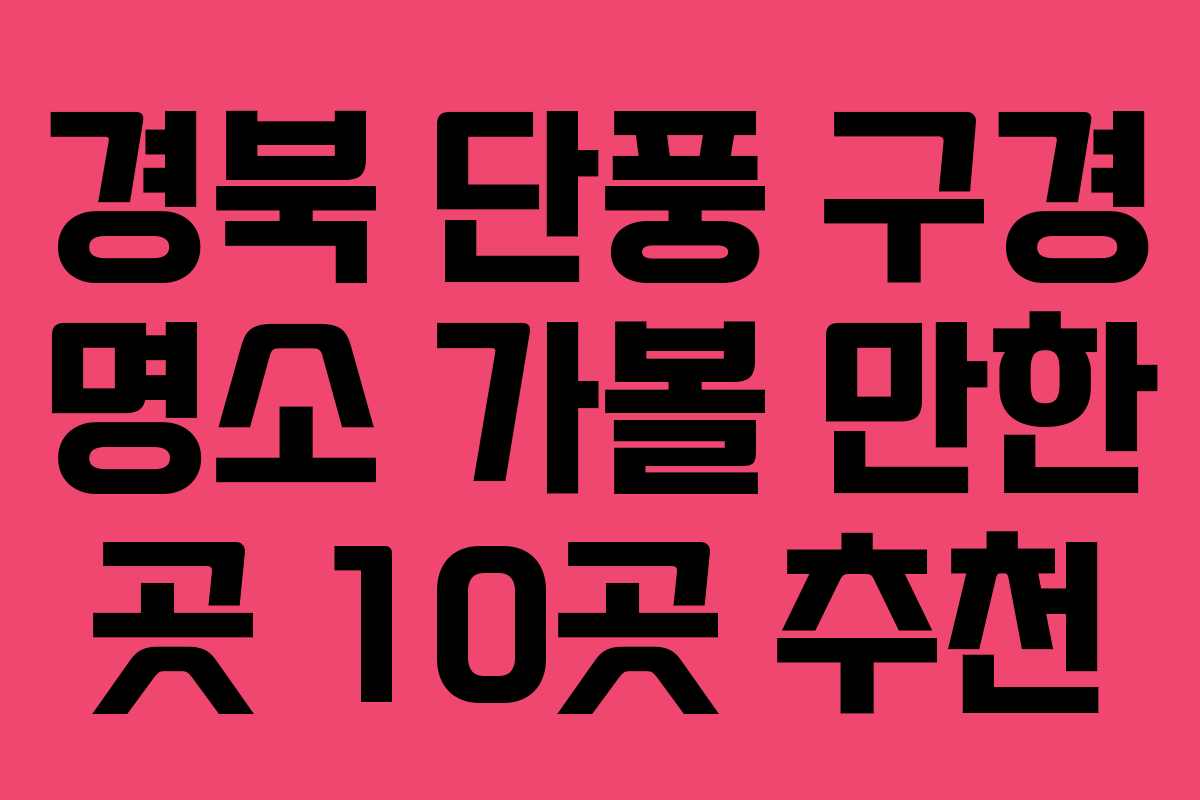 경북 단풍 구경 명소 가볼 만한 곳 10곳 추천