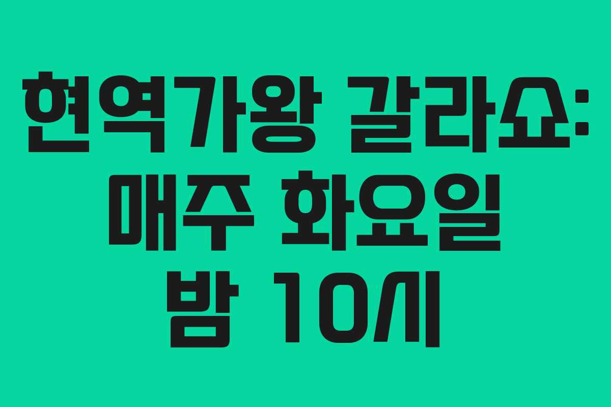 현역가왕 갈라쇼: 매주 화요일 밤 10시