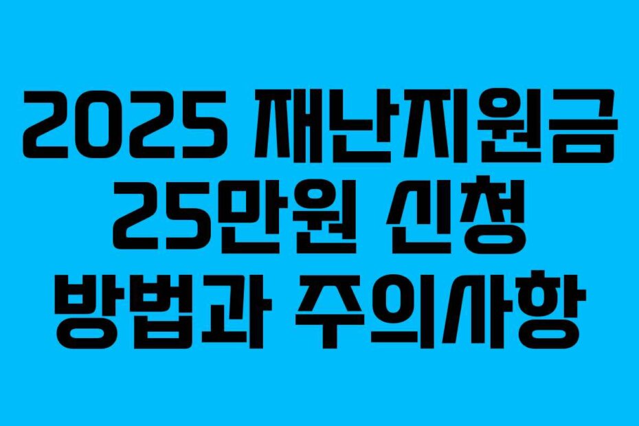 2025 재난지원금 25만원 신청 방법과 주의사항