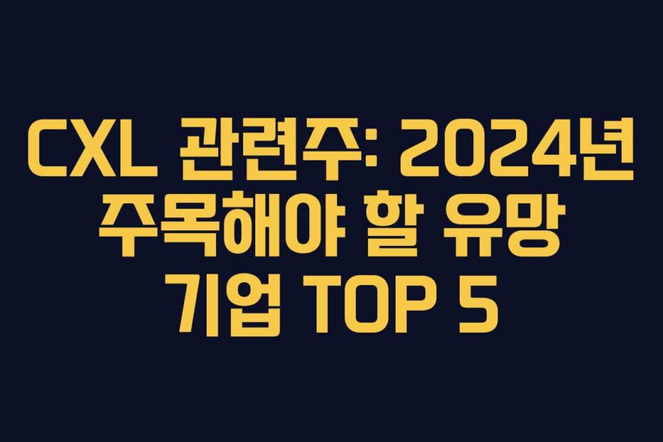 CXL 관련주: 2024년 주목해야 할 유망 기업 TOP 5