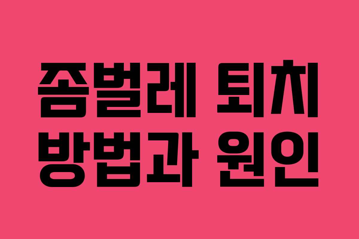 좀벌레 퇴치 방법과 원인
