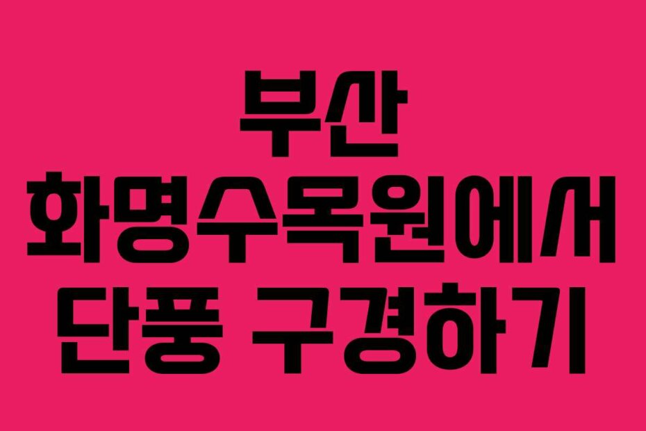 부산 화명수목원에서 단풍 구경하기