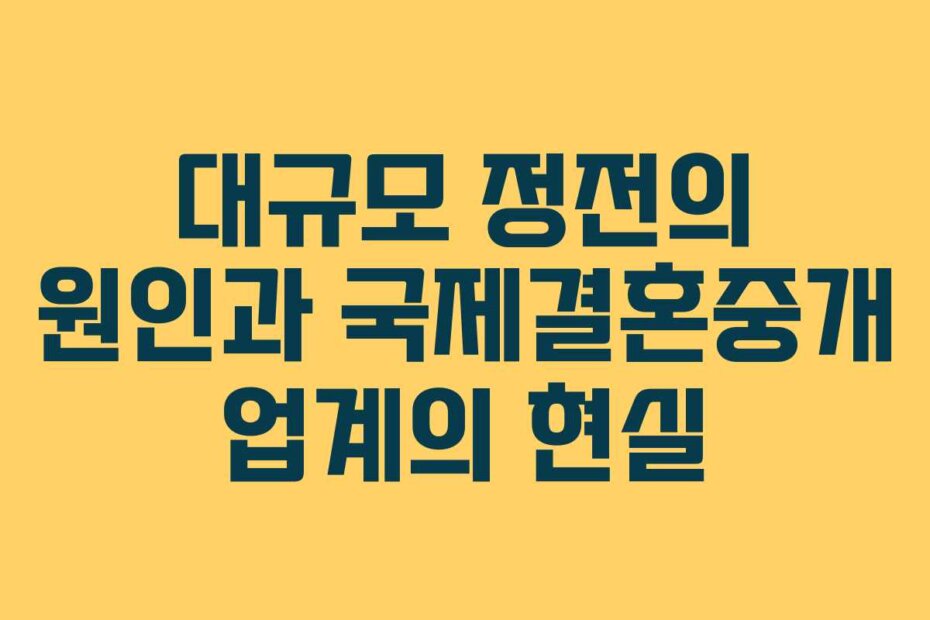 대규모 정전의 원인과 국제결혼중개 업계의 현실