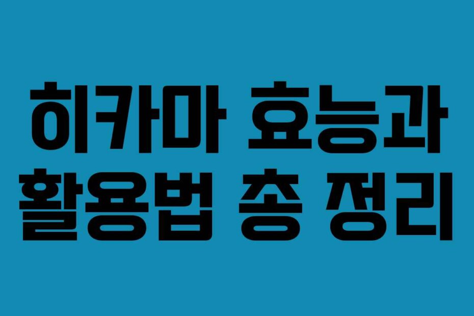 히카마 효능과 활용법 총 정리