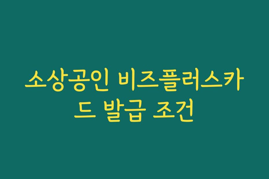 소상공인 비즈플러스카드 발급 조건