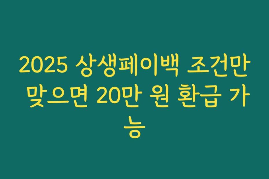 2025 상생페이백 조건만 맞으면 20만 원 환급 가능