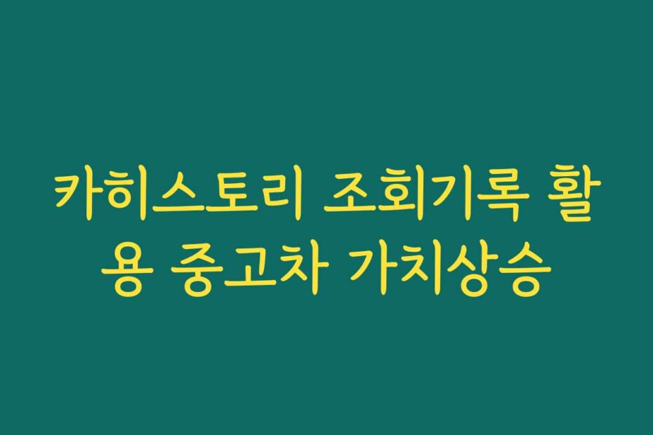 카히스토리 조회기록 활용 중고차 가치상승