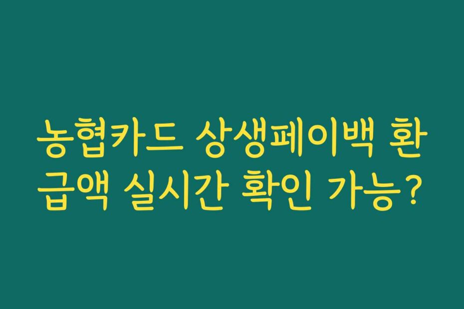 농협카드 상생페이백 환급액 실시간 확인 가능?