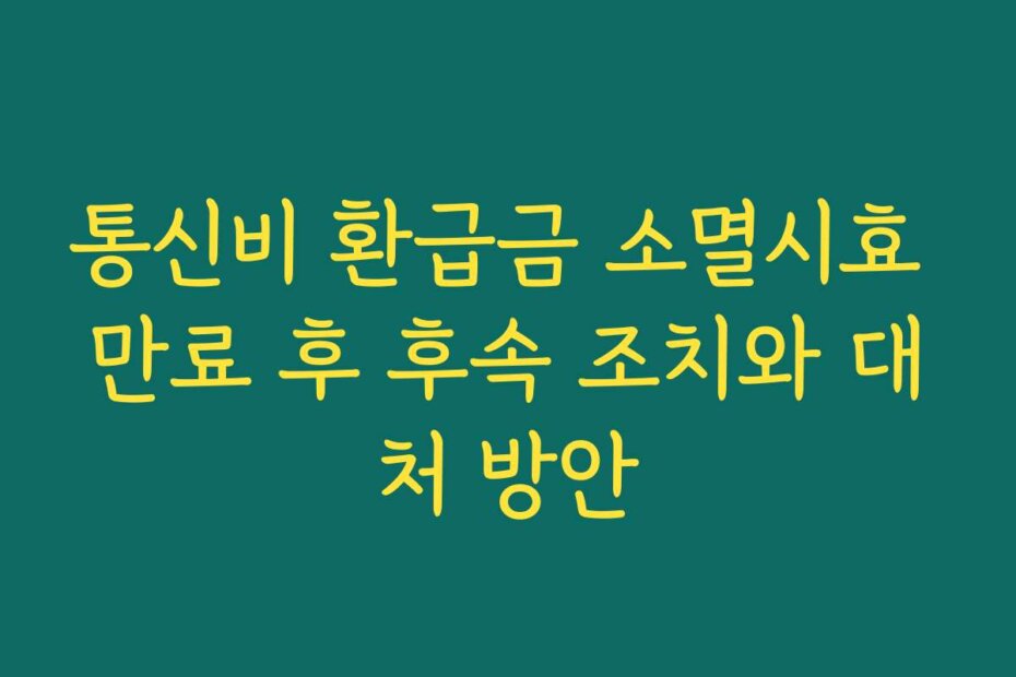통신비 환급금 소멸시효 만료 후 후속 조치와 대처 방안