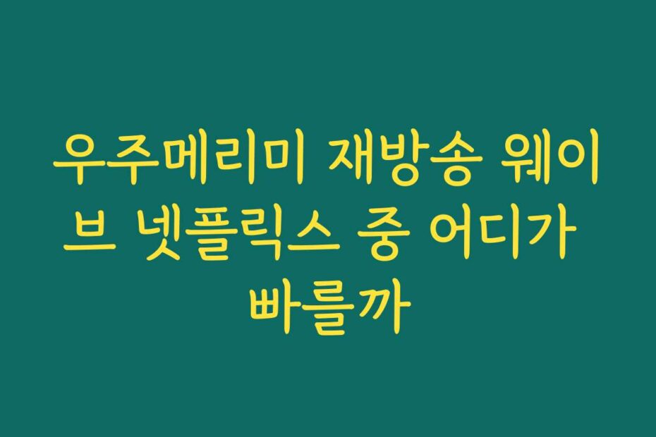 우주메리미 재방송 웨이브 넷플릭스 중 어디가 빠를까