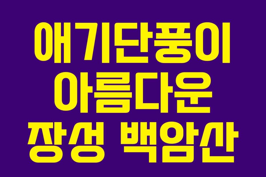 애기단풍이 아름다운 장성 백암산