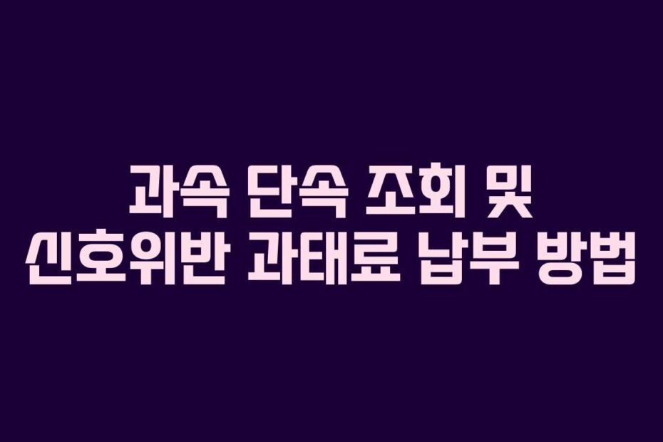 과속 단속 조회 및 신호위반 과태료 납부 방법