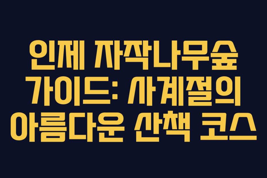 인제 자작나무숲 가이드: 사계절의 아름다운 산책 코스