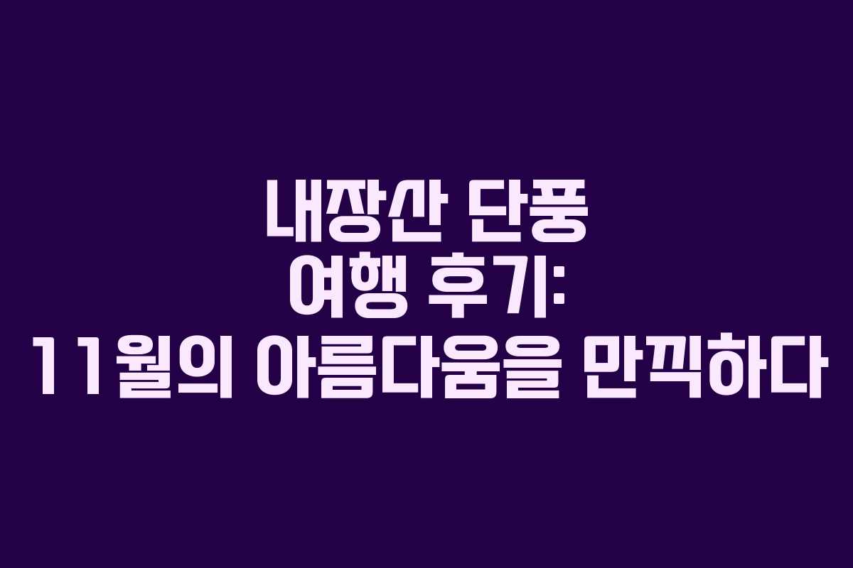 내장산 단풍 여행 후기: 11월의 아름다움을 만끽하다