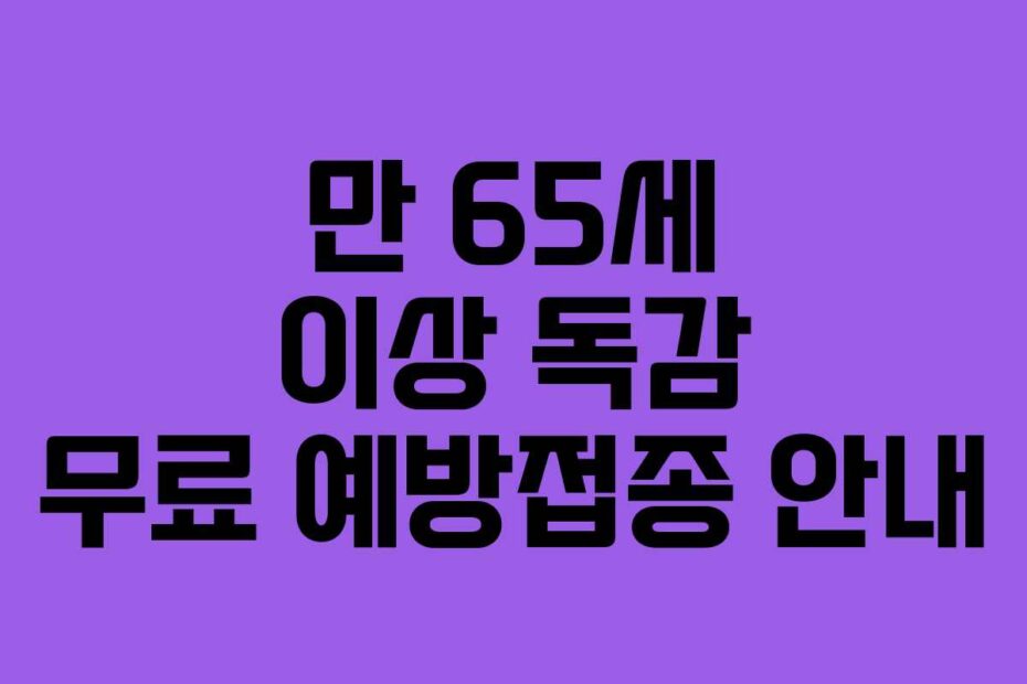 만 65세 이상 독감 무료 예방접종 안내