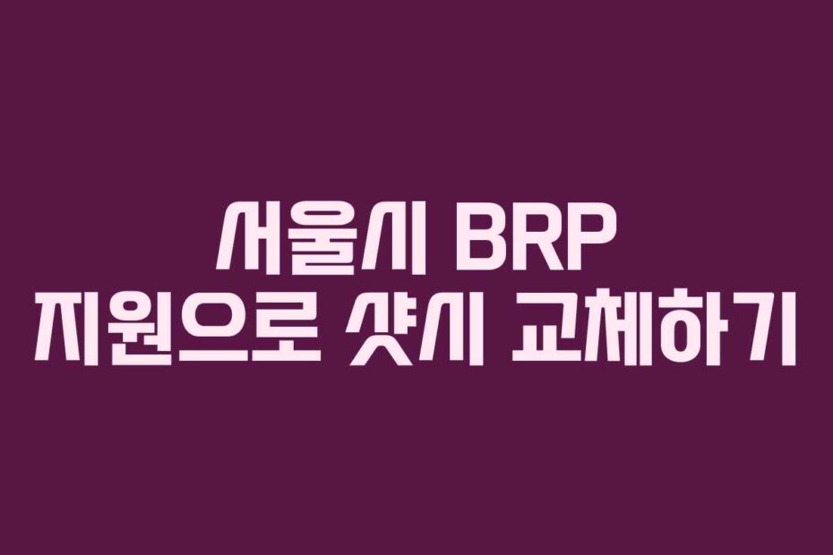 서울시 BRP 지원으로 샷시 교체하기