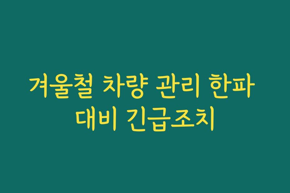 겨울철 차량 관리 한파 대비 긴급조치