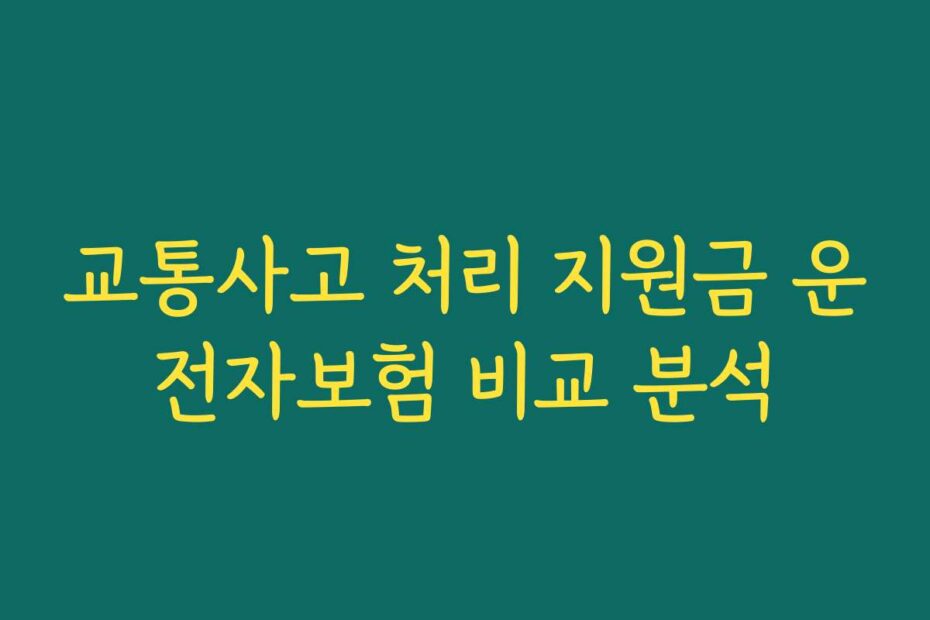 교통사고 처리 지원금 운전자보험 비교 분석