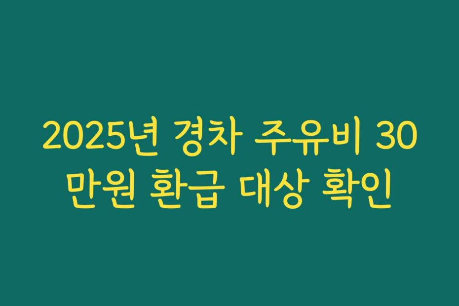 2025년 경차 주유비 30만원 환급 대상 확인