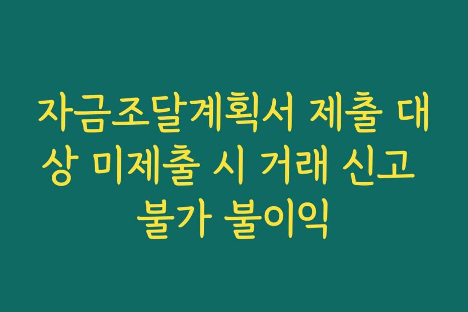 자금조달계획서 제출 대상 미제출 시 거래 신고 불가 불이익