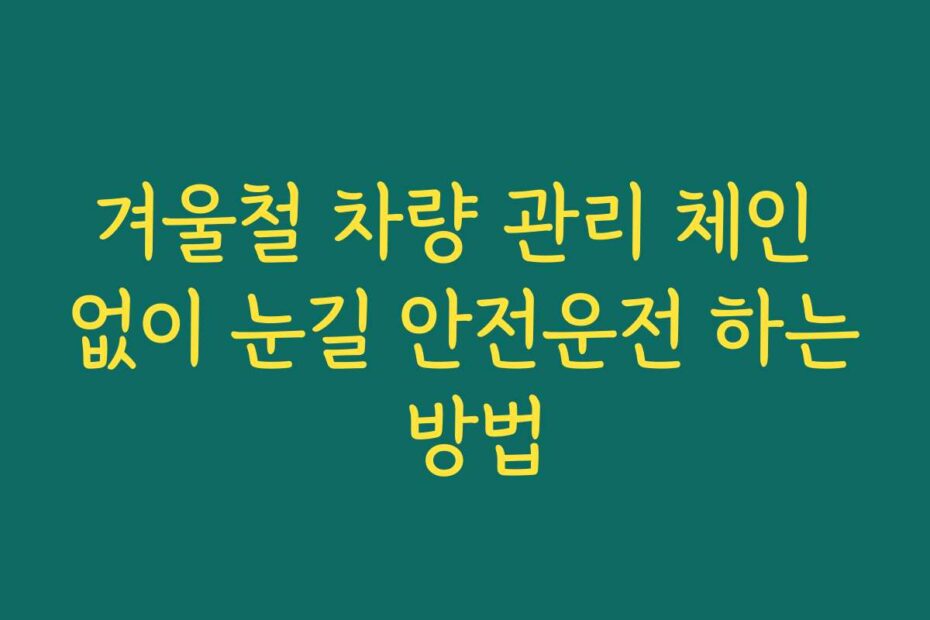 겨울철 차량 관리 체인 없이 눈길 안전운전 하는 방법