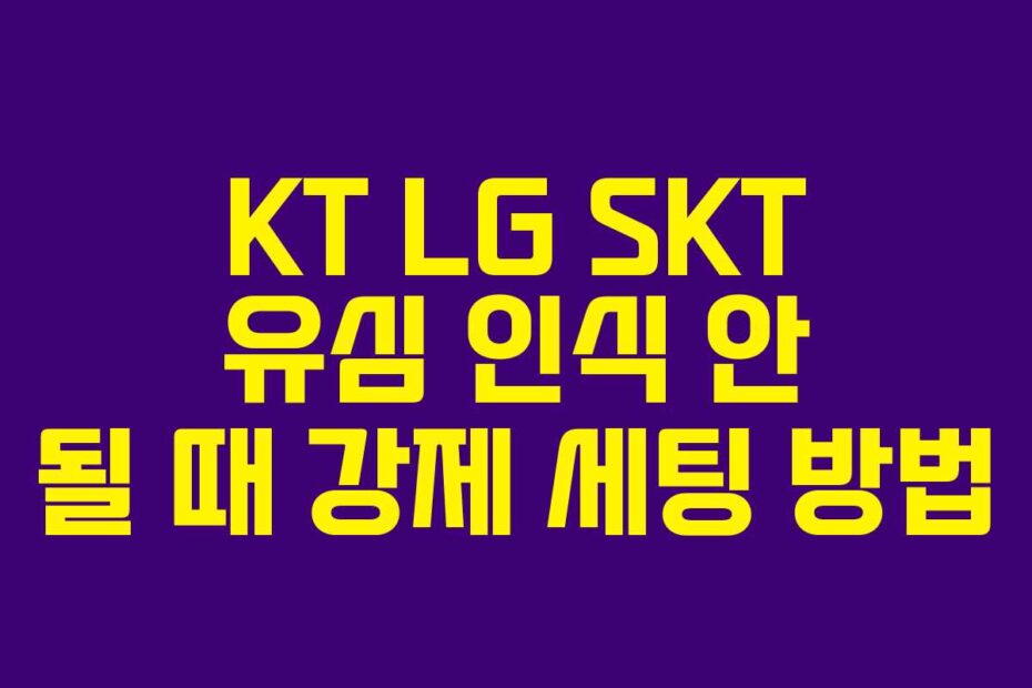 KT LG SKT 유심 인식 안 될 때 강제 세팅 방법