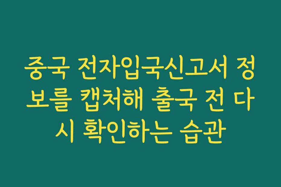 중국 전자입국신고서 정보를 캡처해 출국 전 다시 확인하는 습관