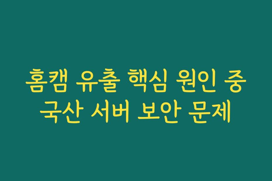 홈캠 유출 핵심 원인 중국산 서버 보안 문제