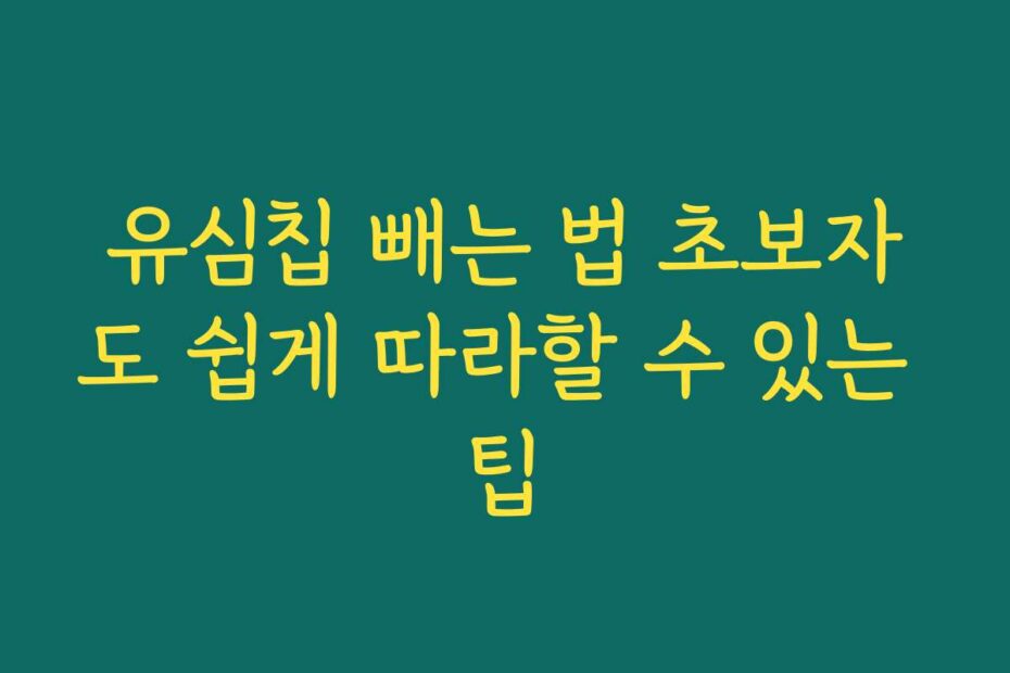 유심칩 빼는 법 초보자도 쉽게 따라할 수 있는 팁