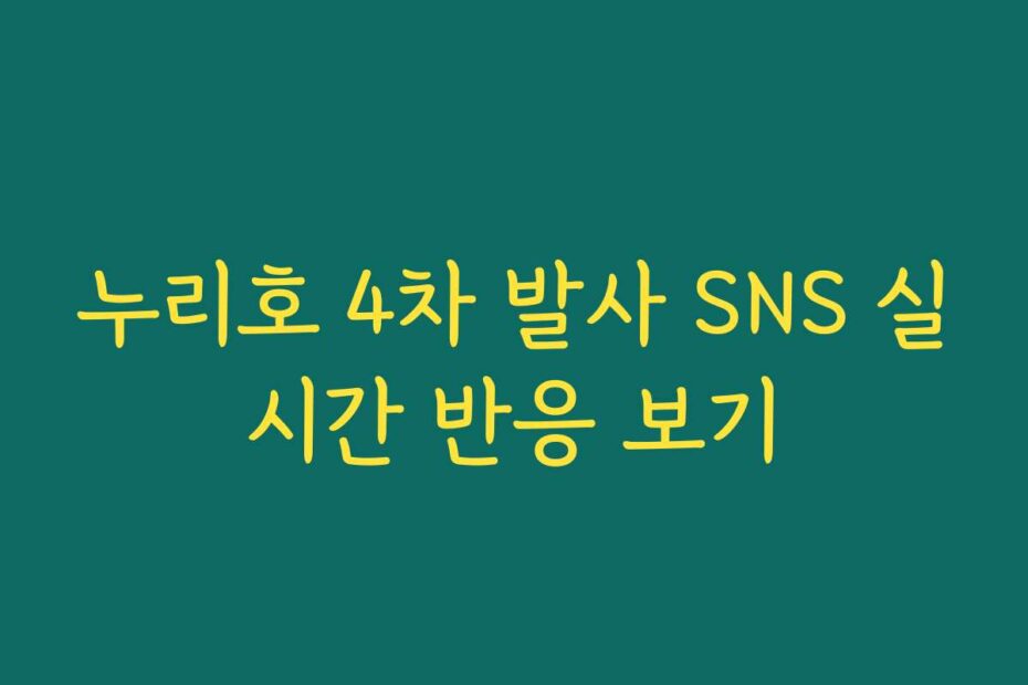 누리호 4차 발사 SNS 실시간 반응 보기